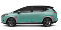 Vitality Green with Black Roof Vitality Green with Black Roof